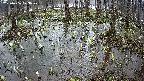 mizubasho2-20250406173029.jpg