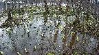 mizubasho2-20250406174031.jpg