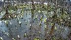 mizubasho2-20250406175029.jpg
