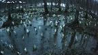 mizubasho2-20250406183028.jpg
