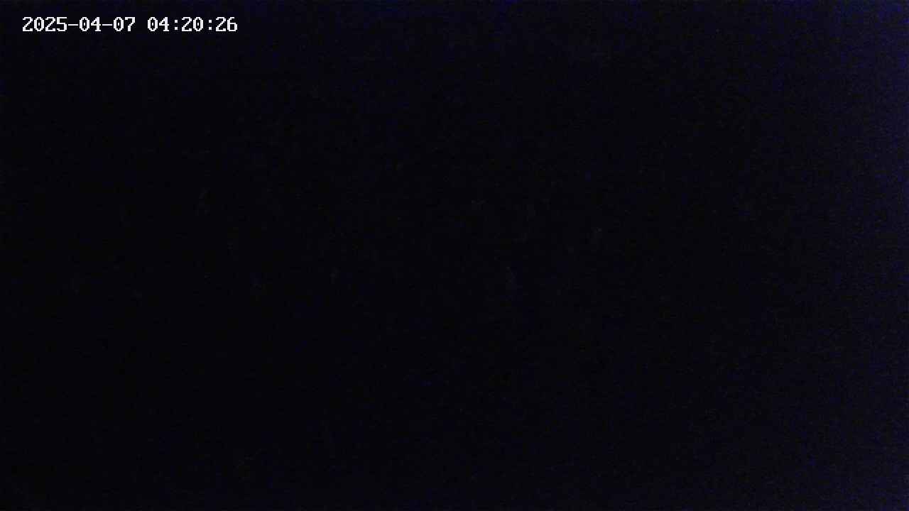 mizubasho2-20250407042027.jpg