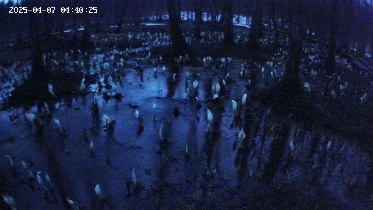 mizubasho2-20250407044026.jpg