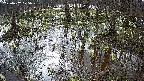 mizubasho2-20250407075028.jpg
