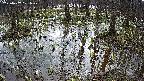 mizubasho2-20250407101030.jpg