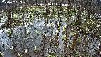mizubasho2-20250407102028.jpg