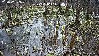 mizubasho2-20250407103031.jpg