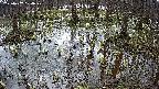 mizubasho2-20250407104029.jpg