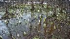 mizubasho2-20250407105029.jpg