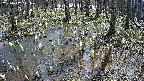 mizubasho2-20250407111029.jpg