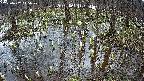 mizubasho2-20250407115029.jpg