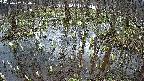 mizubasho2-20250407120030.jpg