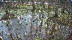 mizubasho2-20250407123030.jpg