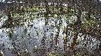 mizubasho2-20250407124028.jpg