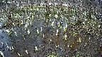 mizubasho2-20250407131030.jpg