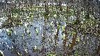 mizubasho2-20250407132030.jpg