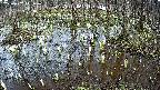 mizubasho2-20250407141030.jpg