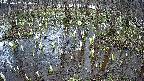mizubasho2-20250407144029.jpg