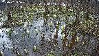 mizubasho2-20250407145028.jpg