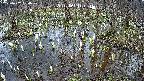 mizubasho2-20250407150029.jpg
