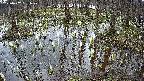 mizubasho2-20250407151030.jpg