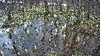mizubasho2-20250407154030.jpg