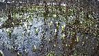 mizubasho2-20250407155029.jpg