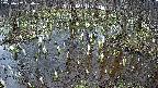 mizubasho2-20250407160029.jpg