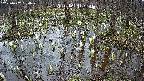 mizubasho2-20250407164028.jpg