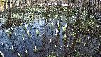 mizubasho2-20250407171030.jpg