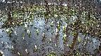 mizubasho2-20250407175031.jpg