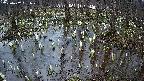 mizubasho2-20250407181030.jpg