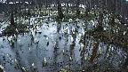 mizubasho2-20250407182029.jpg