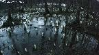 mizubasho2-20250407183027.jpg