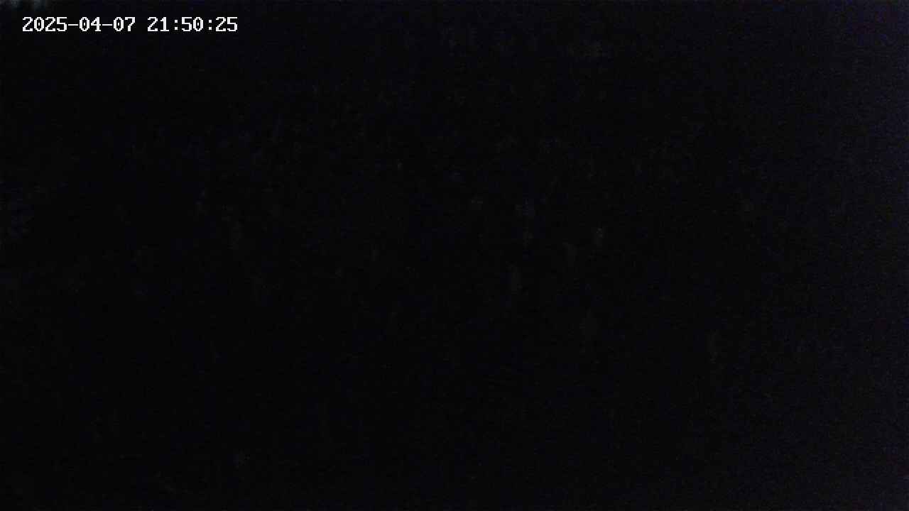 mizubasho2-20250407215025.jpg