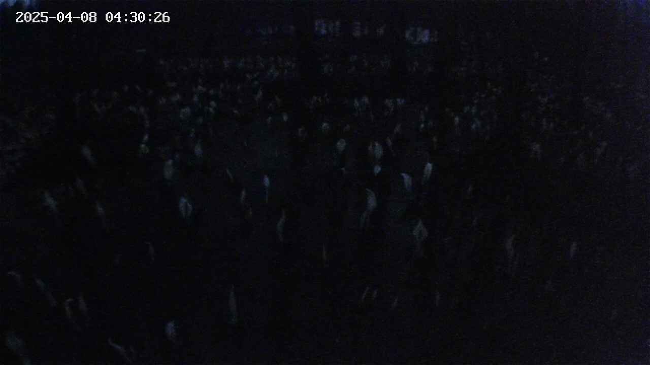 mizubasho2-20250408043027.jpg