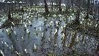 mizubasho2-20250408050029.jpg
