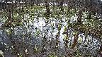 mizubasho2-20250408120027.jpg