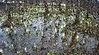 mizubasho2-20250408133031.jpg