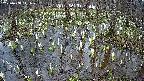 mizubasho2-20250408141031.jpg