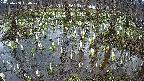 mizubasho2-20250408160029.jpg