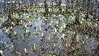 mizubasho2-20250408163031.jpg