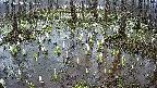 mizubasho2-20250408171031.jpg