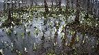 mizubasho2-20250408180030.jpg