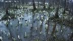 mizubasho2-20250408182029.jpg