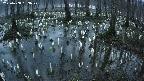 mizubasho2-20250408183029.jpg