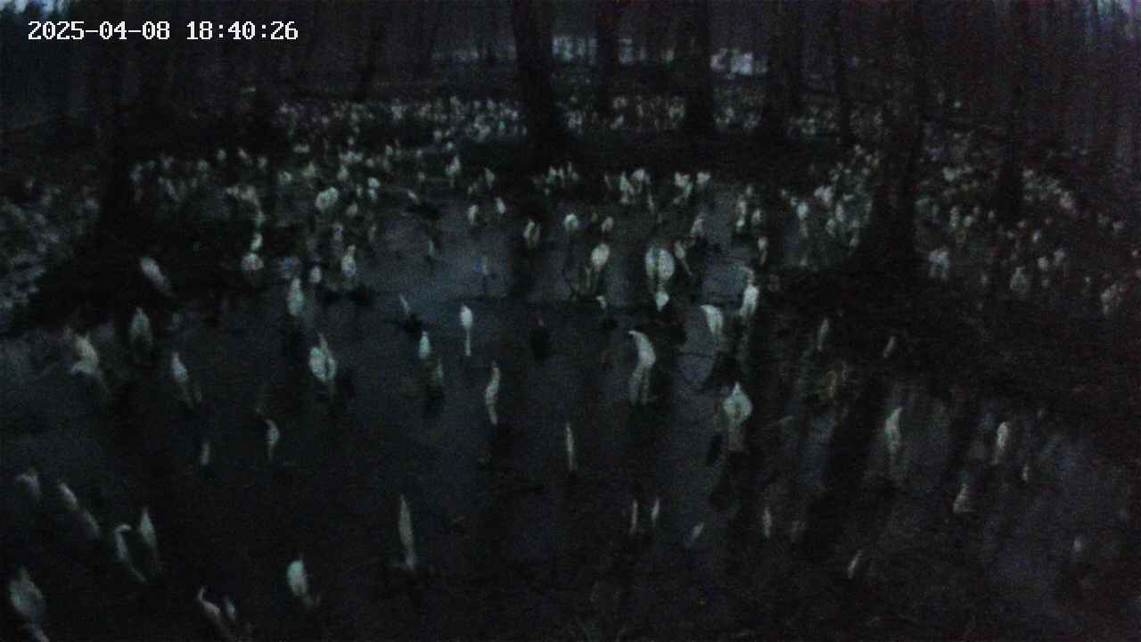 mizubasho2-20250408184027.jpg