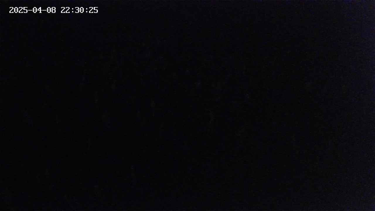 mizubasho2-20250408223027.jpg