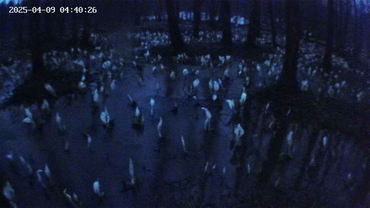 mizubasho2-20250409044027.jpg