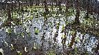 mizubasho2-20250409082029.jpg