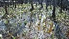 mizubasho2-20250409100030.jpg